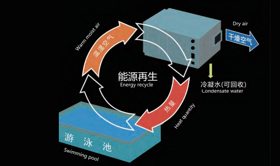 室內(nèi)恒溫游泳館,室內(nèi)恒溫游泳池