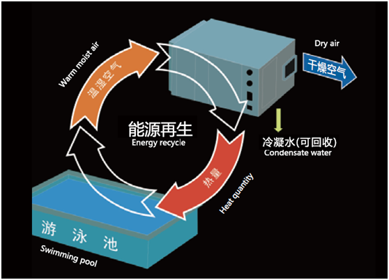 室內泳池恒溫恒濕系統(tǒng)